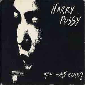 Harry Pussy - What Was Music? mp3 album