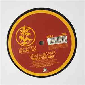Heist / Strider  - While You Wait / Rollin Good mp3 album