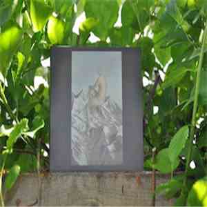 Kinit Her - The Poet & The Blue Flower mp3 album