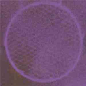 Kohoutek Meets Soil Sing Through Me - New Milk mp3 album