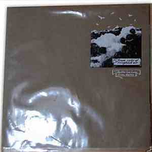 Mile End Ladies String Auxillary, The - From Cells Of Roughest Air mp3 album