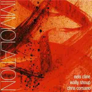 Nels Cline • Wally Shoup • Chris Corsano - Immolation / Immersion mp3 album