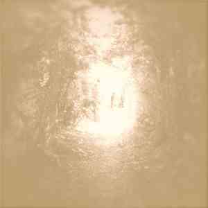 offthesky - Subtle Trees mp3 album