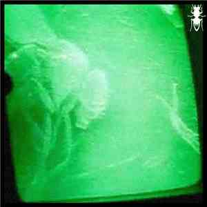 Ophidian - Qotile mp3 album