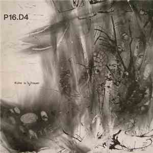 P16.D4 - Kühe In 1/2 Trauer mp3 album