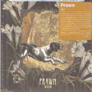 Prawn - Run mp3 album