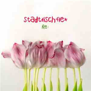 stadtfisch and the flexible orchestra - Re: mp3 album