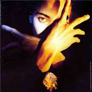 Terence Trent D'Arby - Terence Trent D'Arby's Neither Fish Nor Flesh: A Soundtrack Of Love, Faith, Hope, And Destruction mp3 album