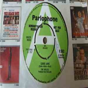 The Hollies - Carrie Anne mp3 album