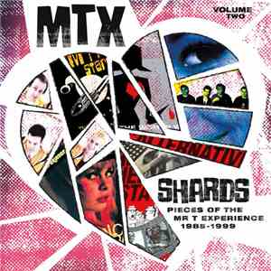 The Mr. T Experience - Shards Vol. 2 mp3 album