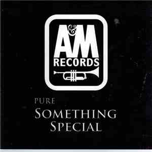 Various - Pure Something Special mp3 album