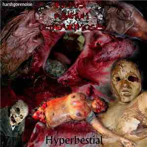 Vulnus Punctum Ultrazymosis - Hyperbestial mp3 album