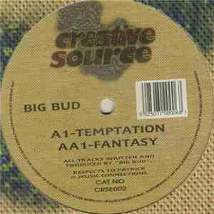 Big Bud - Temptation / Fantasy mp3 album