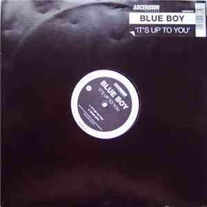 Blue Boy - It's Up To You mp3 album