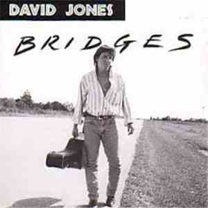 David Jones  - Bridges mp3 album