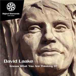 David Laake - Knows What You Are Thinking EP mp3 album