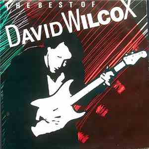 David Wilcox  - The Best Of David Wilcox mp3 album