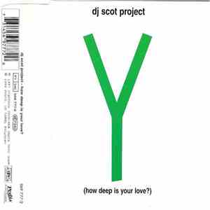 DJ Scot Project - Y (How Deep Is Your Love) mp3 album