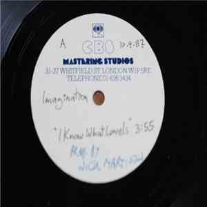 Imagination - I Know What Love Is mp3 album