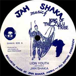 Jah Shaka - Lion Youth mp3 album