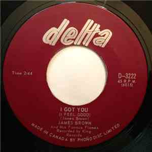 James Brown & The Famous Flames - I Got You (I Feel Good) / Shout And Shimmy mp3 album