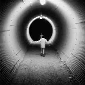 Mary Lattimore & Jeff Zeigler - Music Inspired By Philippe Garrel’s Le Révélateur mp3 album
