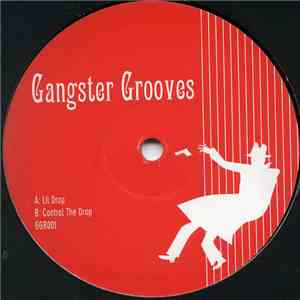Mylo vs. Lisa Stansfield & Janet Jackson - Lil Drop / Control The Drop mp3 album