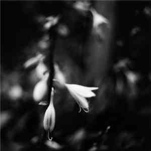 Painting Petals On Planet Ghost - Transparent Winter mp3 album