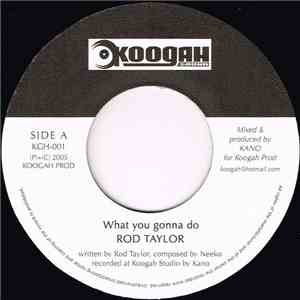 Rod Taylor - What You Gonna Do mp3 album