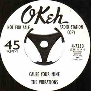 The Vibrations / The Vibrating Vibrations - Cause Your Mine / Surprise Party For Baby mp3 album