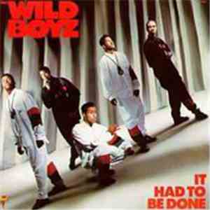 The Wild Boyz - It Had To Be Done mp3 album