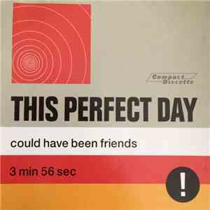 This Perfect Day - Could Have Been Friends mp3 album