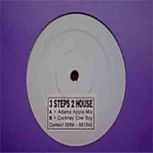 Un-Known - 3 Steps 2 House mp3 album