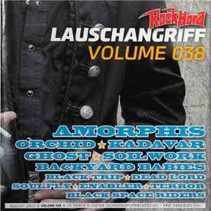Various - Lauschangriff Volume 038 mp3 album