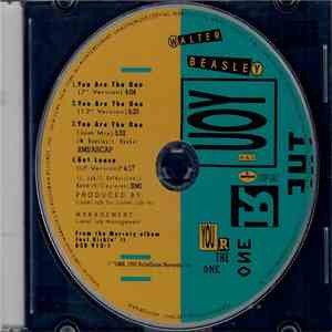 Walter Beasley - You Are The One mp3 album