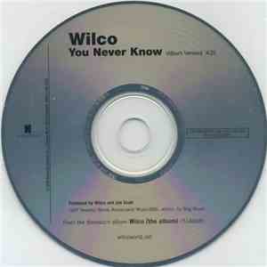 Wilco - You Never Know mp3 album