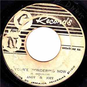 Andy & Joey - You're Wondering Now / They Say mp3 album