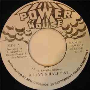 B. Levy & Half Pint  - Do It mp3 album
