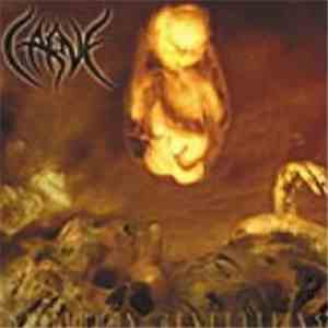 Carve  - Stillborn Revelations mp3 album