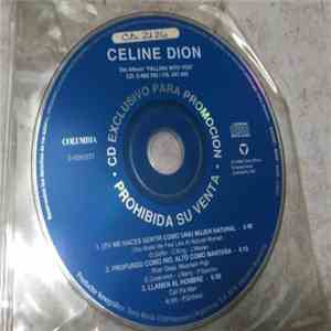 Celine Dion - Falling Into You mp3 album