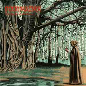 Doomraiser - Erasing The Remembrance mp3 album