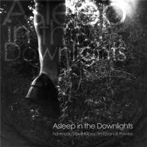 Hammock / Steve Kilbey / timEbandit Powles - Asleep In The Downlights mp3 album
