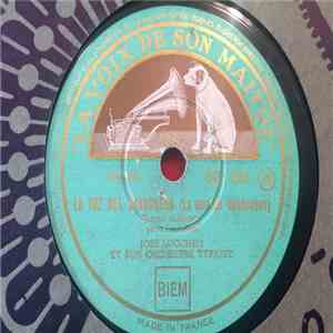 José Maria Lucchesi - la voz del pandoneon/senor comisario mp3 album