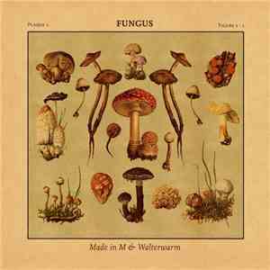 Made In M & Walterwarm - Fungus mp3 album