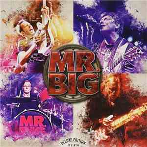 Mr. Big - Live From Milan mp3 album