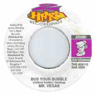 Mr. Vegas - Bus Your Bubble mp3 album