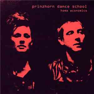 Prinzhorn Dance School - Home Economics mp3 album