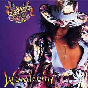 Rick James - Wonderful mp3 album