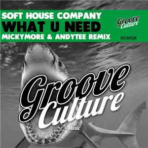 Soft House Company - What You Need (Micky More & Andy Tee Remix) mp3 album