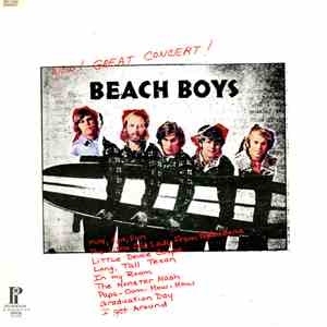 The Beach Boys - Wow! Great Concert! mp3 album